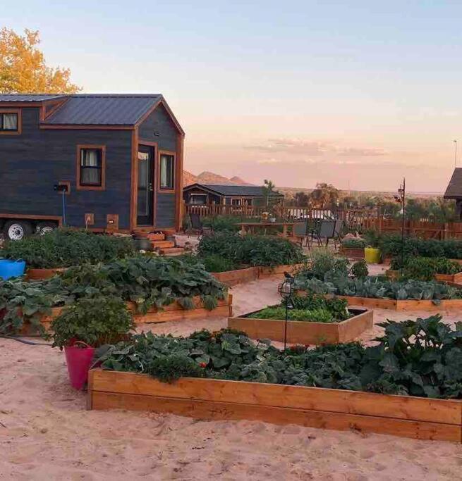 Atlantis Garden Tiny Home Hildale Buitenkant foto