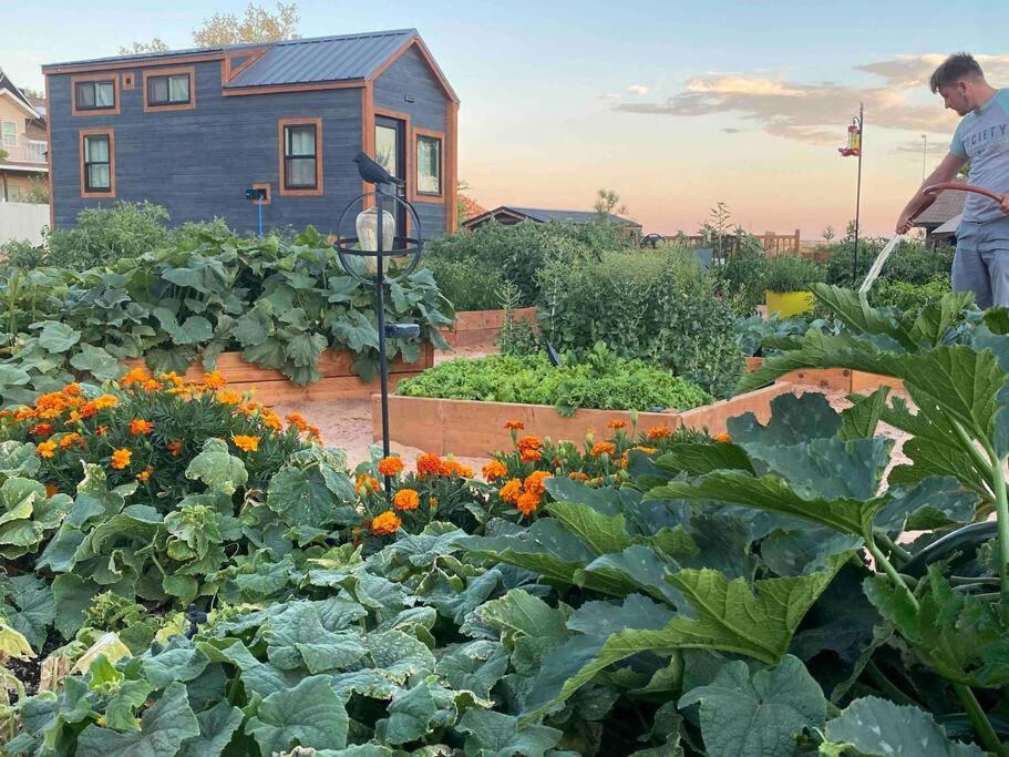 Atlantis Garden Tiny Home Hildale Buitenkant foto