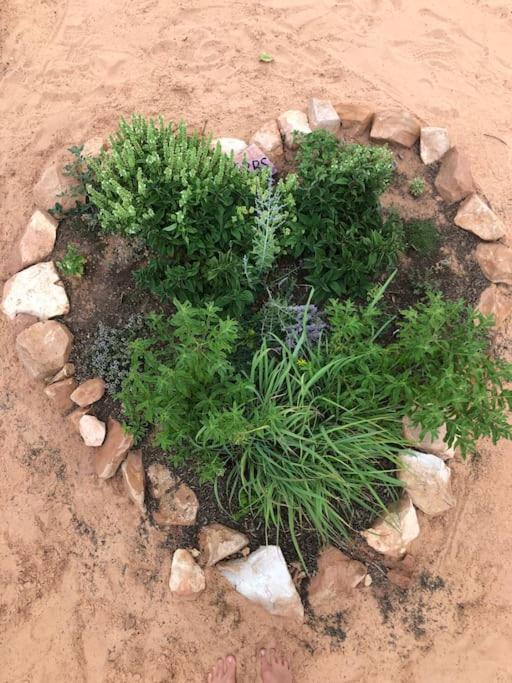Atlantis Garden Tiny Home Hildale Buitenkant foto